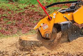 Best Pest Control for Lawns  in Bodega Bay, CA